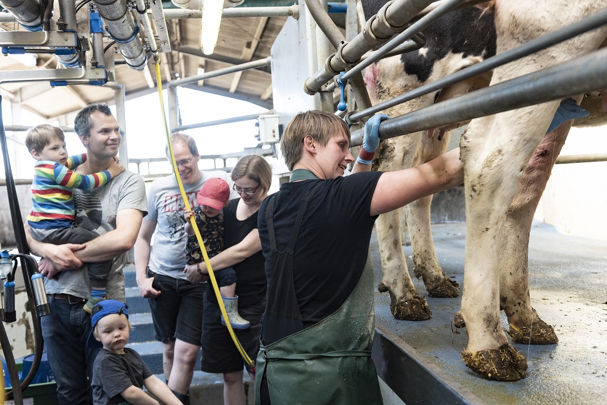 Ferienhof Ratjen melken