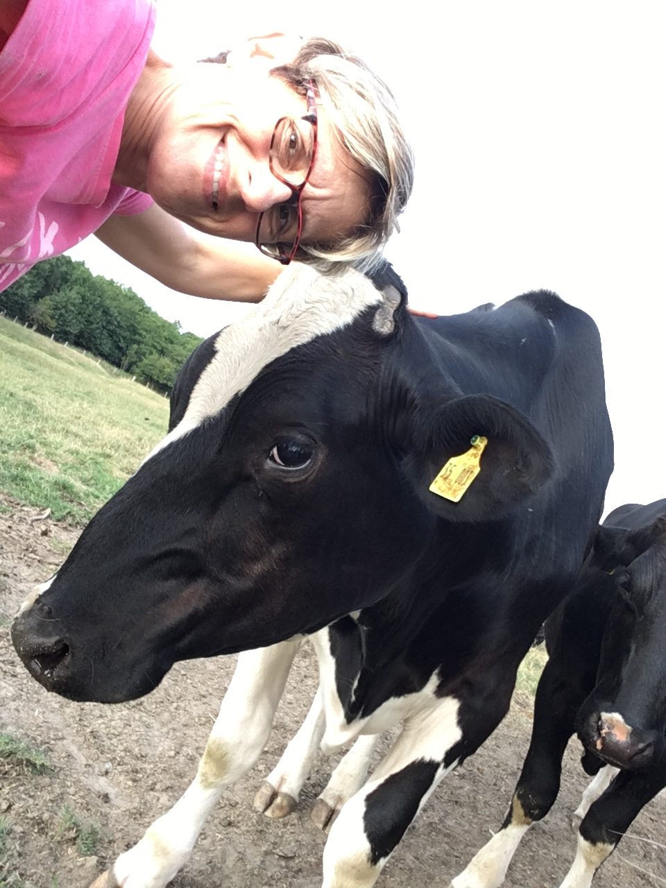 Landwirtschaft Rahn